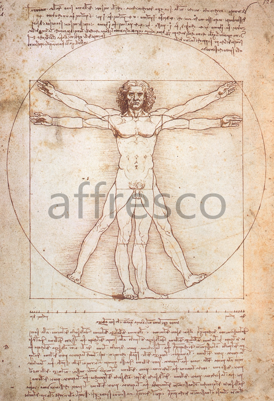Фрески, Витрувианский человек Леонардо да Винчи